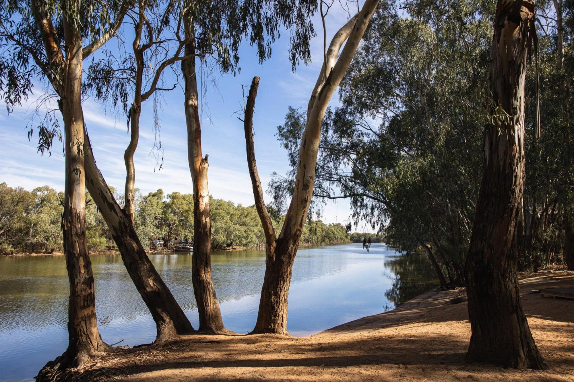 Hotel Nyngan Riverside Tourist Park Exterior foto