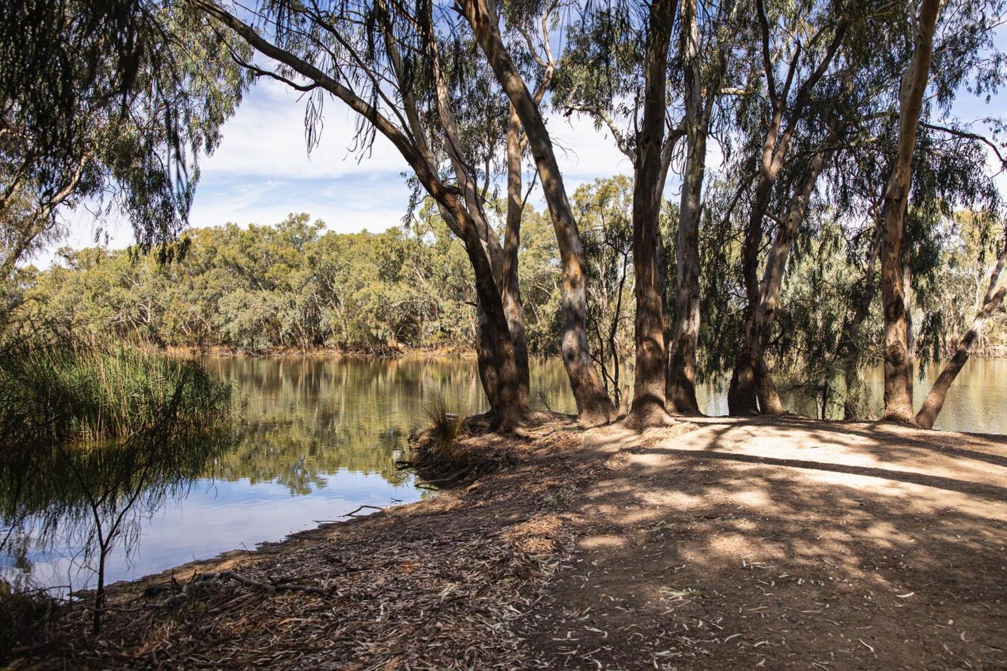 Hotel Nyngan Riverside Tourist Park Exterior foto